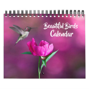 Kalendar mit schönen Vögeln in kleinem Format Kalender