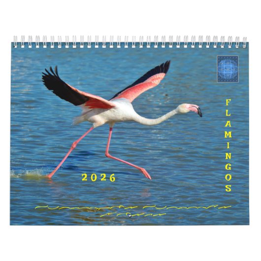 Kalender (Titelbild)