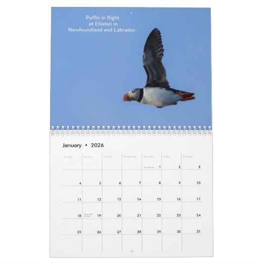 Kalender (Jan 2026)