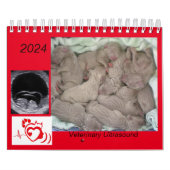 Kalender (Titelbild)