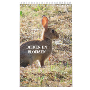 KALENDER