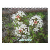 Kalender (Titelbild)