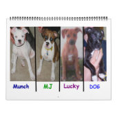 Kalender (Titelbild)