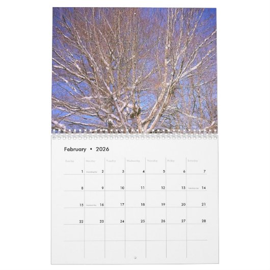 Kalender (Feb 2026)