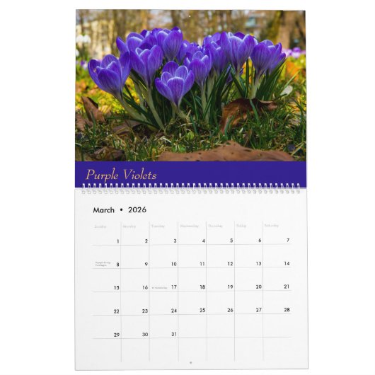 Kalender (Mär 2026)