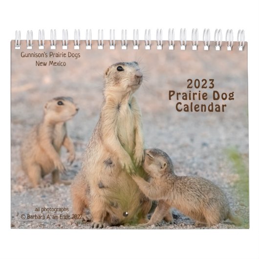 KALENDER (Titelbild)