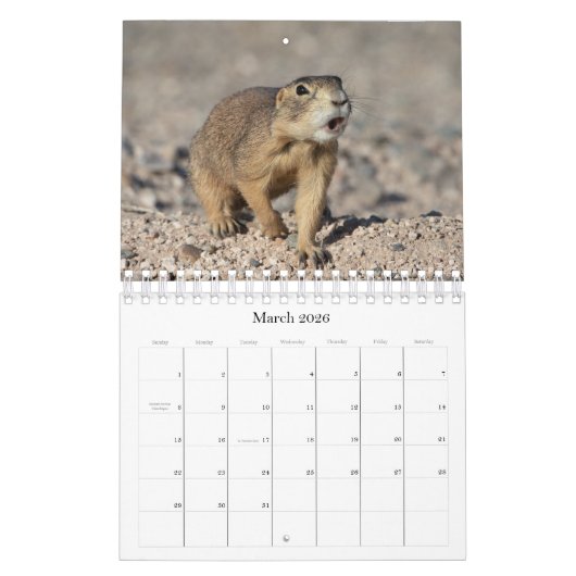 KALENDER (Mär 2026)