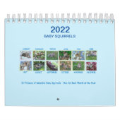 Kalender (Titelbild)