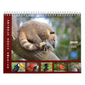 Kalender (Titelbild)