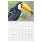 Kalender (Jan 2026)