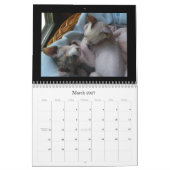 Kalender (Mär 2027)