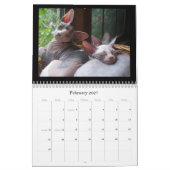 Kalender (Feb 2027)
