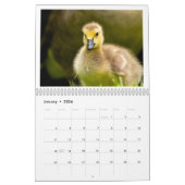 Kalender (Jan 2026)