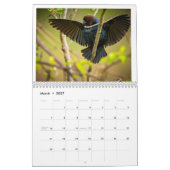 Kalender (Mär 2027)