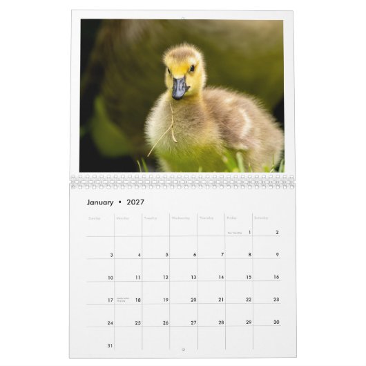 Kalender (Jan 2027)