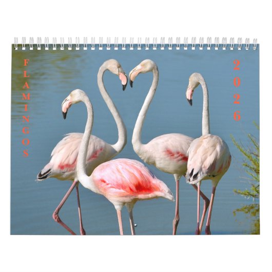 Kalender (Titelbild)