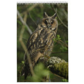 Kalender (Titelbild)