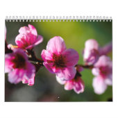 Kalender (Titelbild)