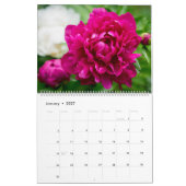 Kalender (Jan 2027)