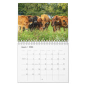 Kalender (Mär 2026)