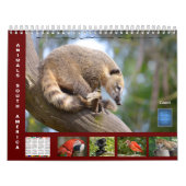 Kalender (Titelbild)