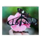 Kalender (Titelbild)