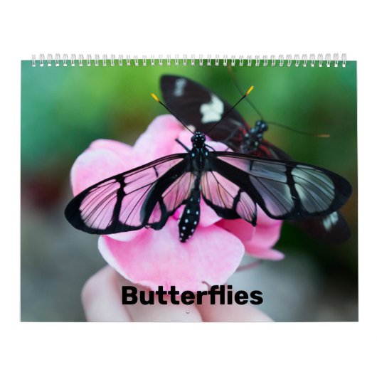 Kalender (Titelbild)