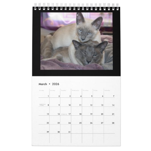 Kalender (Mär 2026)