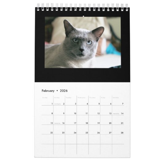 Kalender (Feb 2026)