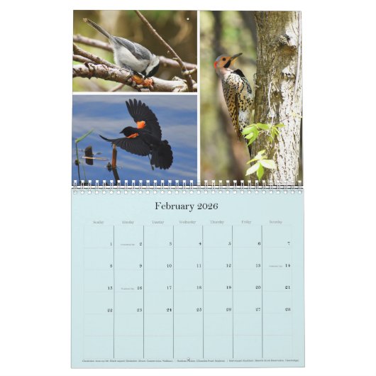Kalender (Feb 2026)