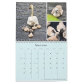 Kalender (Mär 2026)