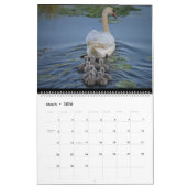 Kalender (Mär 2026)