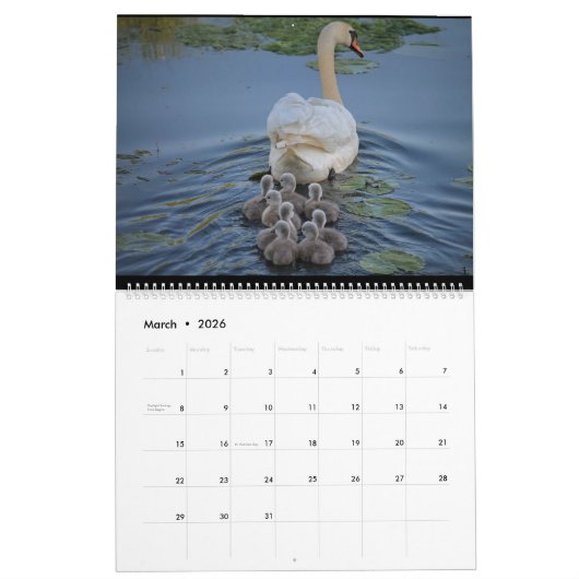 Kalender (Mär 2026)