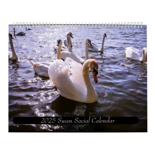 Kalender (Titelbild)