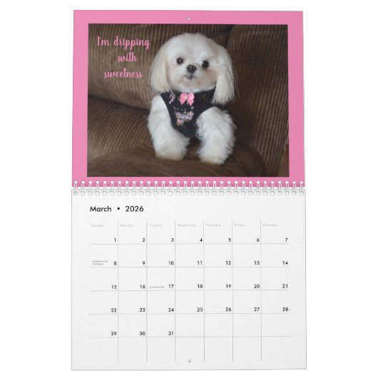 Kalender (Mär 2026)