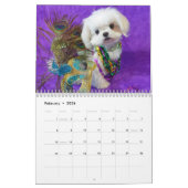 Kalender (Feb 2026)