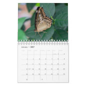 Kalender (Jan 2027)