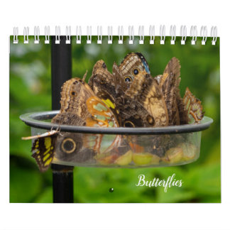 Kalender