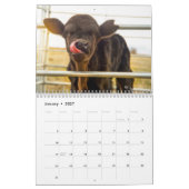 Kalender (Jan 2027)