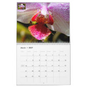 Kalender (Mär 2027)