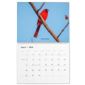 Kalender (Mär 2026)