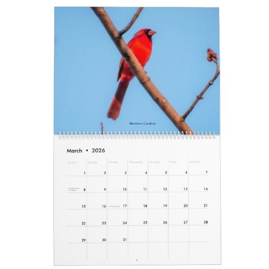 Kalender (Mär 2026)