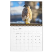 Kalender (Feb 2026)