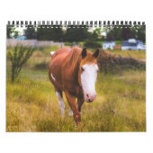 Kalender (Titelbild)