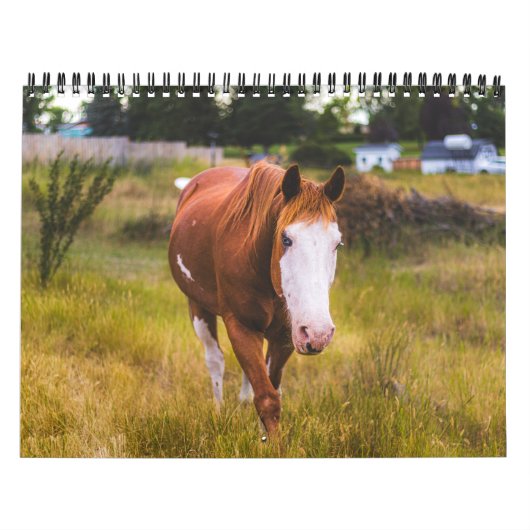 Kalender (Titelbild)