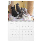 Kalender (Feb 2027)