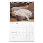 Kalender (Feb 2027)