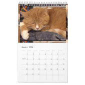 Kalender (Mär 2026)