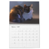 Kalender (Feb 2027)