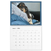 Kalender (Mär 2026)